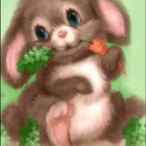 Meet your Posher, Jaynene